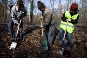 Digging