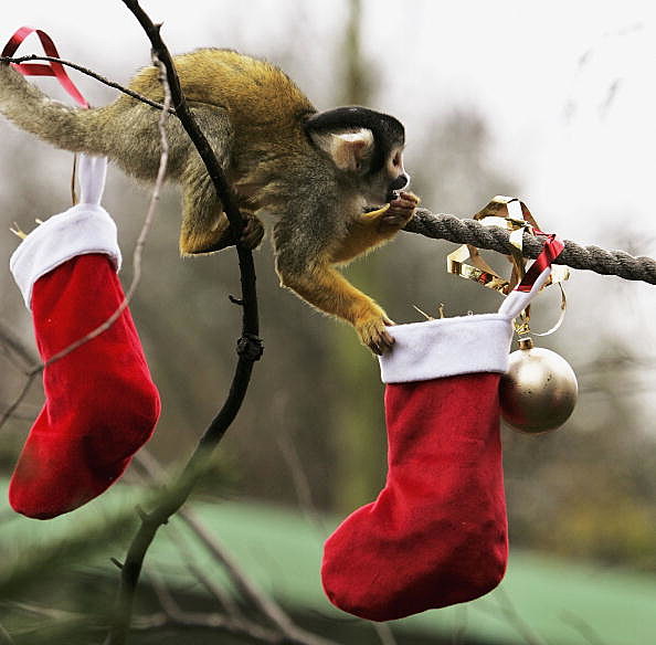 Christmas Stockings