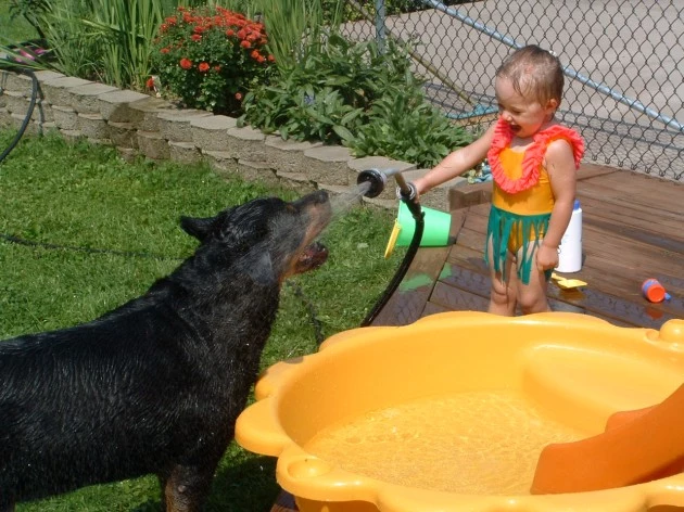 water park (1)