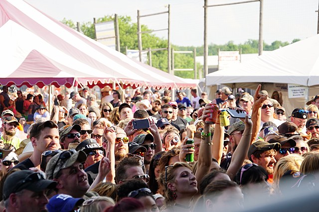 FrogFest 32 Checklist: Things to Bring to Enjoy a Day of Music & Fun