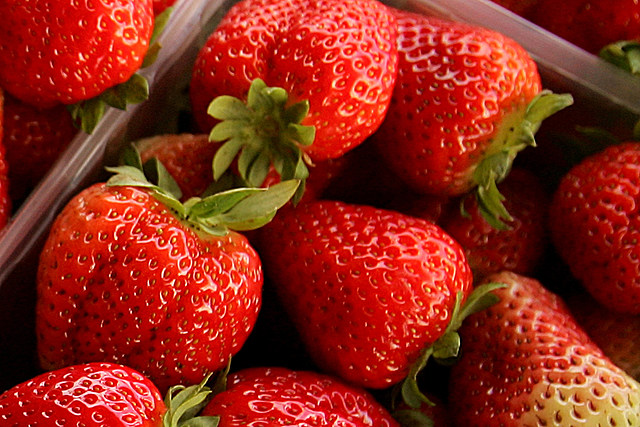 Where to Pick the Freshest Strawberries in Utica and Syracuse Area Fields