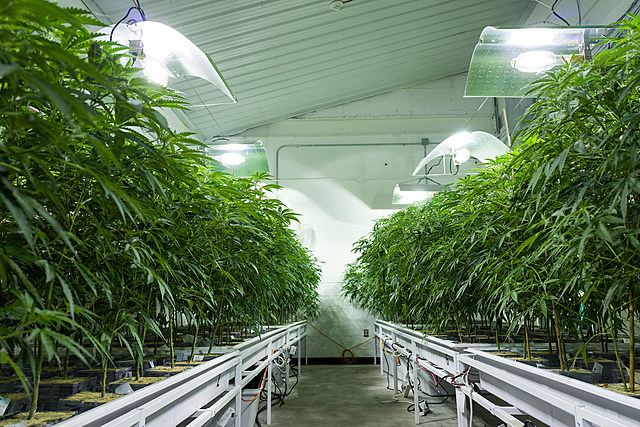 Ulster County Has High Hopes Legal Marijuana Will Bring Jobs and Rejuvenation