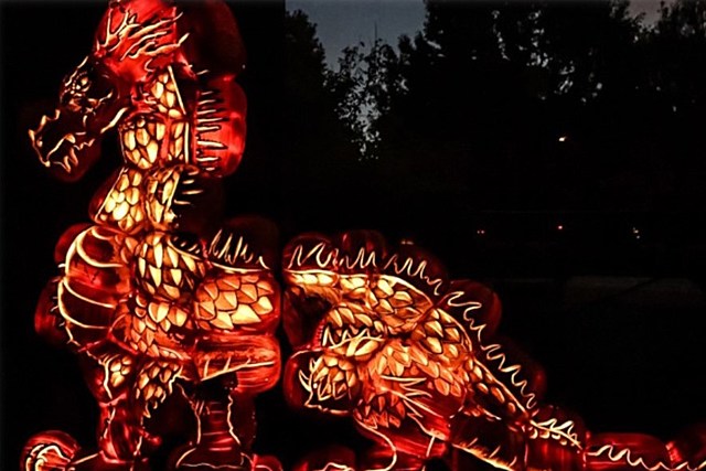 Mile Long Pumpkin Glow & Light Show is a Wicked Halloween Experience
