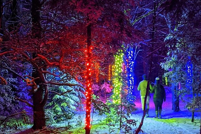 Take An Enchanting Winter Wonderland Stroll Through the Adirondack Wild Lights
