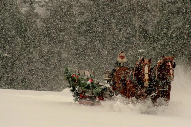 Go Dashing Through the Snow in the Adirondacks on Horse Drawn Sleigh Rides
