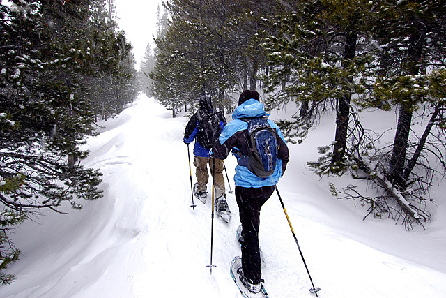 Take A Hike! DEC Reaches Milestone With The Adirondack Rail Trail