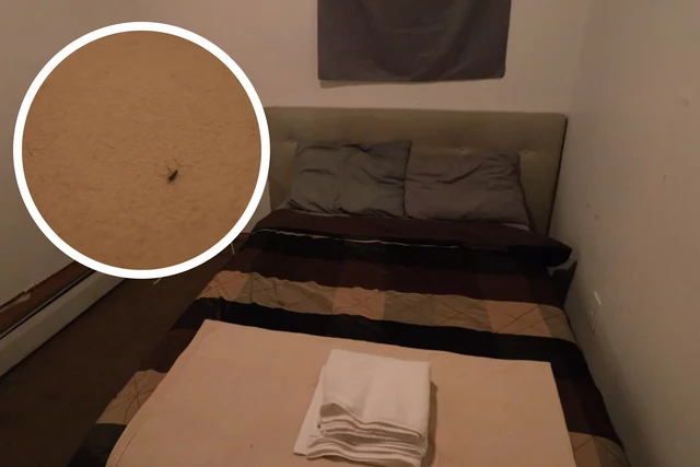 Check Out This Literal Hole in the Wall: Cheapest Airbnb in NYC