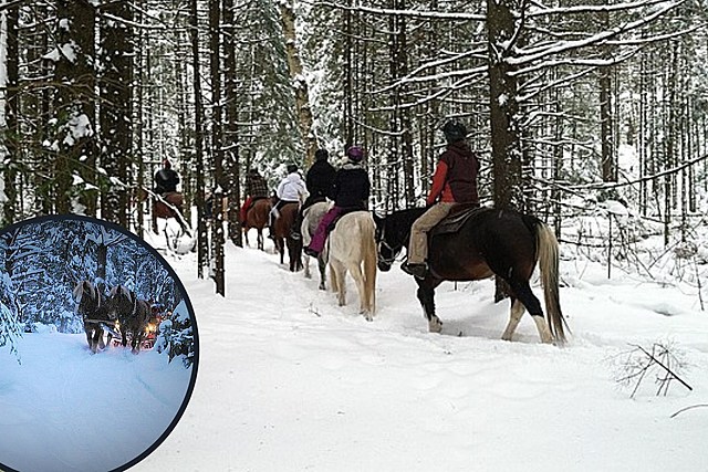 Enjoy the Winter Wonderland of the Adirondacks By Horse