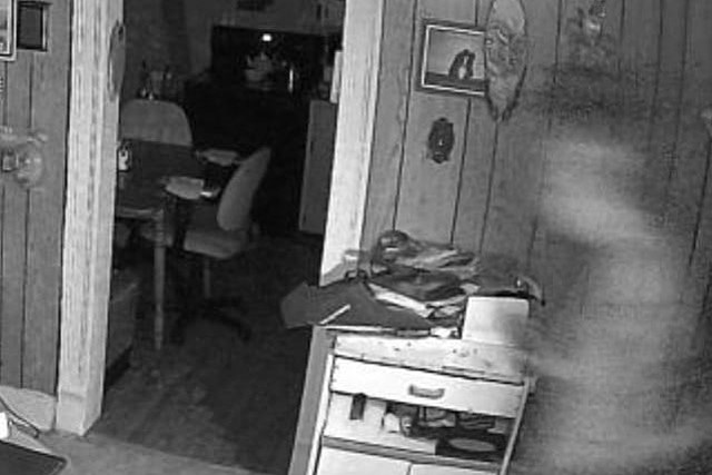 Little Falls, New York Woman Captures What She Believes is Her Late Mother on Security Camera