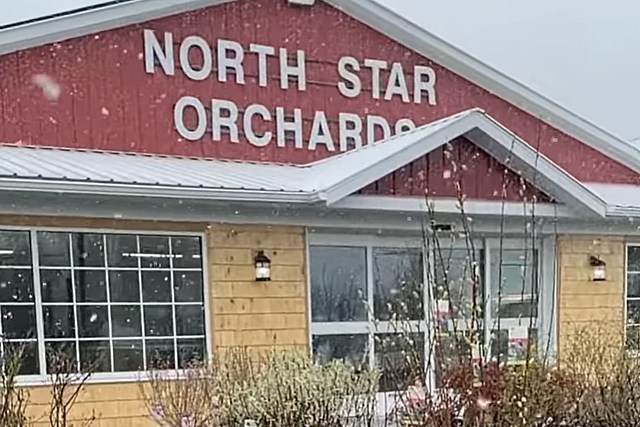 Snow Won't Stop North Star Orchards From Opening for the Season
