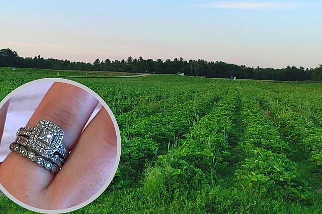 Wedding Rings Lost in CNY Strawberry Field, Owner Praying for a Miracle