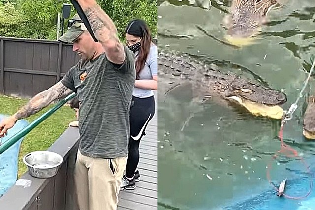 New Wild Experience at CNY Animal Park Allows You to Go Alligator Fishing