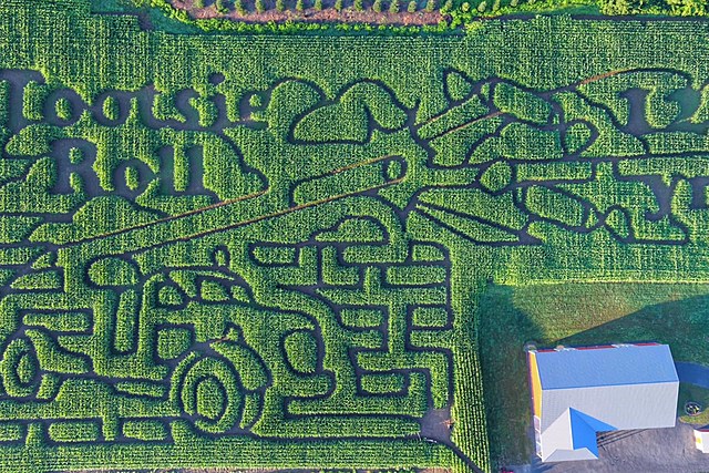 Candy Cannon Corn Maze at New York Farm Celebrates Tootsie Roll Anniversary