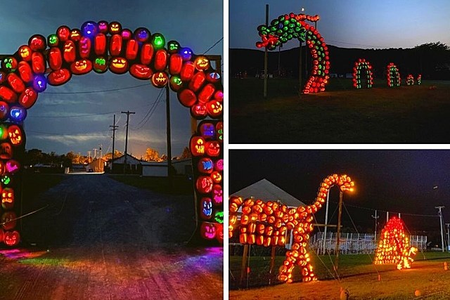 7,000 Illuminated Jack-O-Lanterns Light Up the Night in Stunning Halloween Display