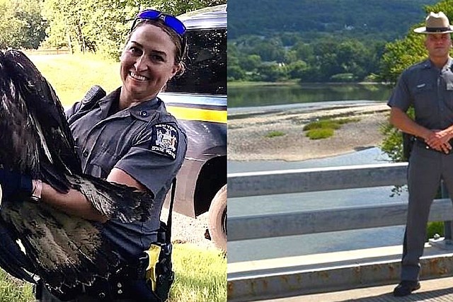NY State Trooper Saves Man Threatening to Jump, Another Rescues Injured Bald Eagle