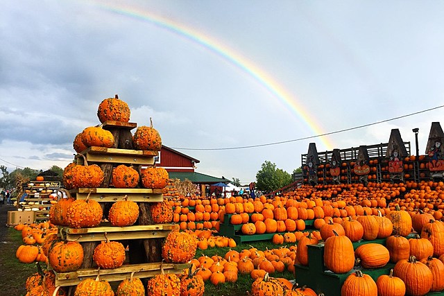 Pumpkin Farm in New York Named One of Best in the Country