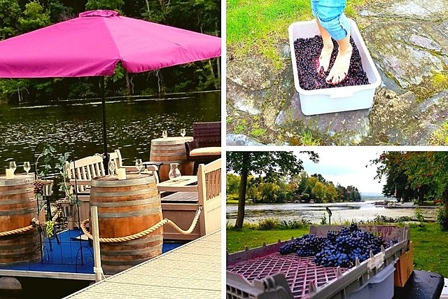 Unique Wine Barge Tour Allows You to Harvest, Stomp & Taste Your Own Wine