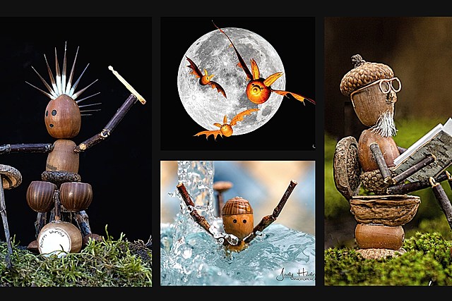 Go Nuts Over Waterville Photographer's Stunning Whimsical Acorn Shots