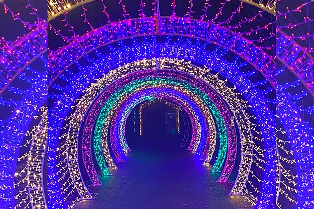 Make Memories at Wild Winter Wonderland of Lights & Help Feed the Hungry