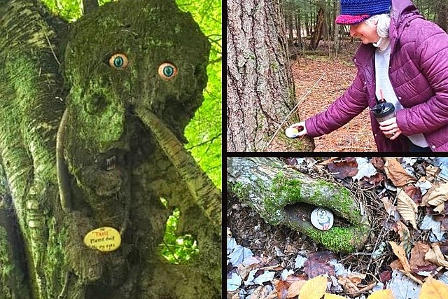 Have You Seen the Hidden Treasures Left Behind in Forest Park