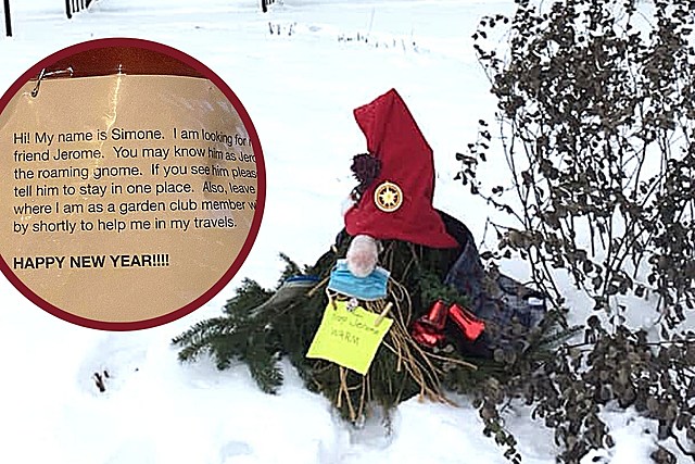Two Gnomes Roaming Streets in CNY Home Hoping to Be Reunited For Christmas
