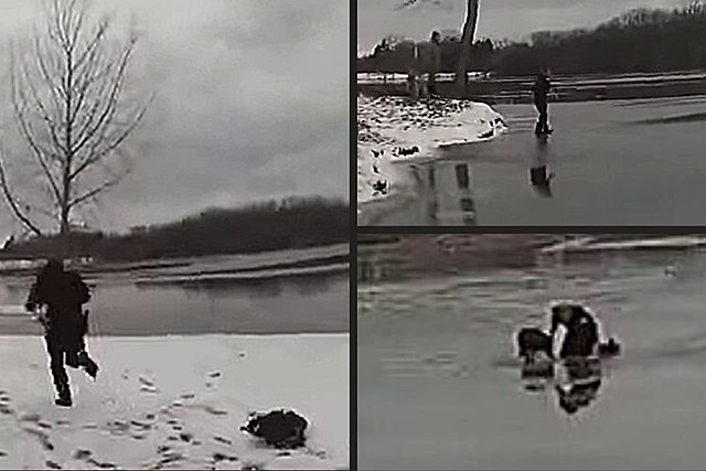 WATCH: NY Police Officer Pull Pooch From Icy Pond in Heroic Rescue