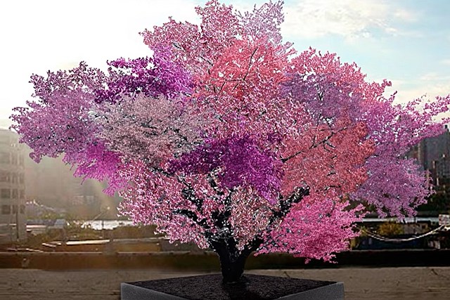 Tree of 40 Fruit Looks Like Something From Dr Seuss But It's Real & It's in New York