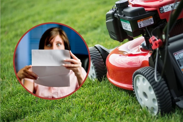 How To Mow Your Lawn Without Getting Fined In New York State