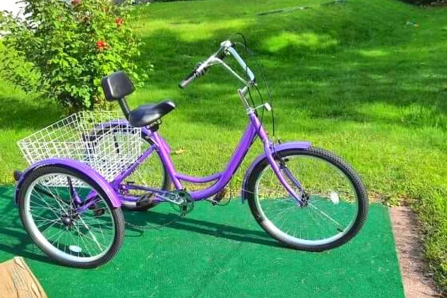 Have You Seen This Unique Bike Stolen From Backyard in Herkimer