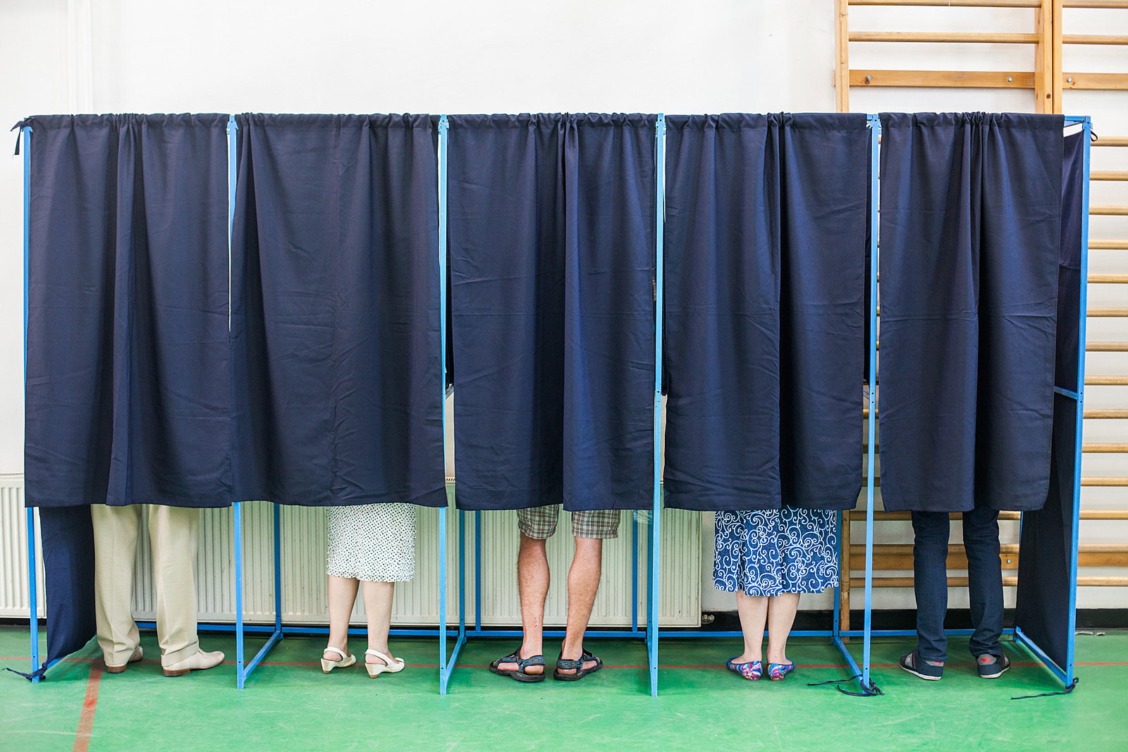 Color image of some people voting in some polling booths at a voting station.