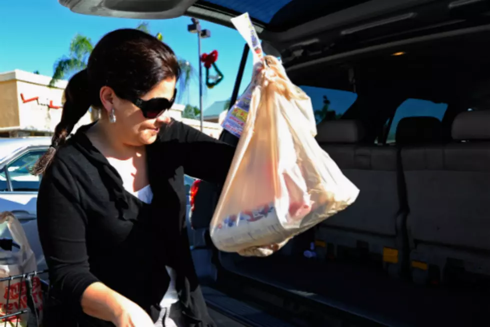 Wait, Plastic Bags Aren’t Banned Not Yet Anyway
