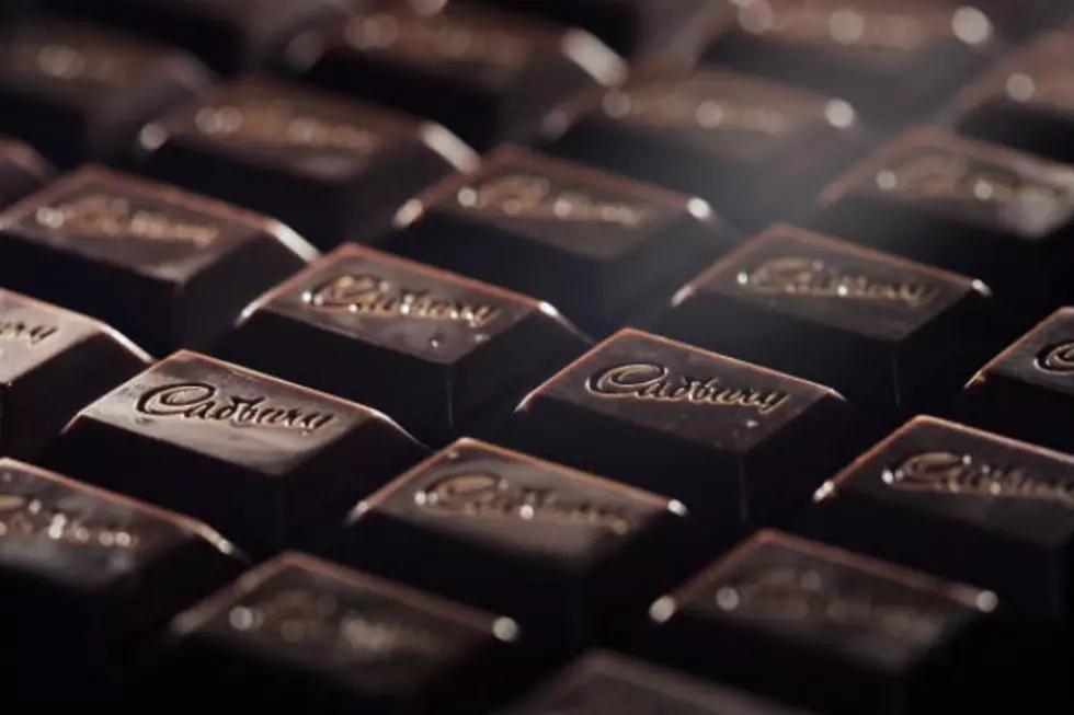 Chocolate Is Favorite Halloween Treat