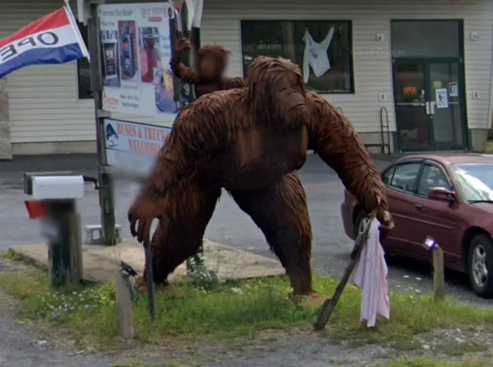 Credit - Google Maps