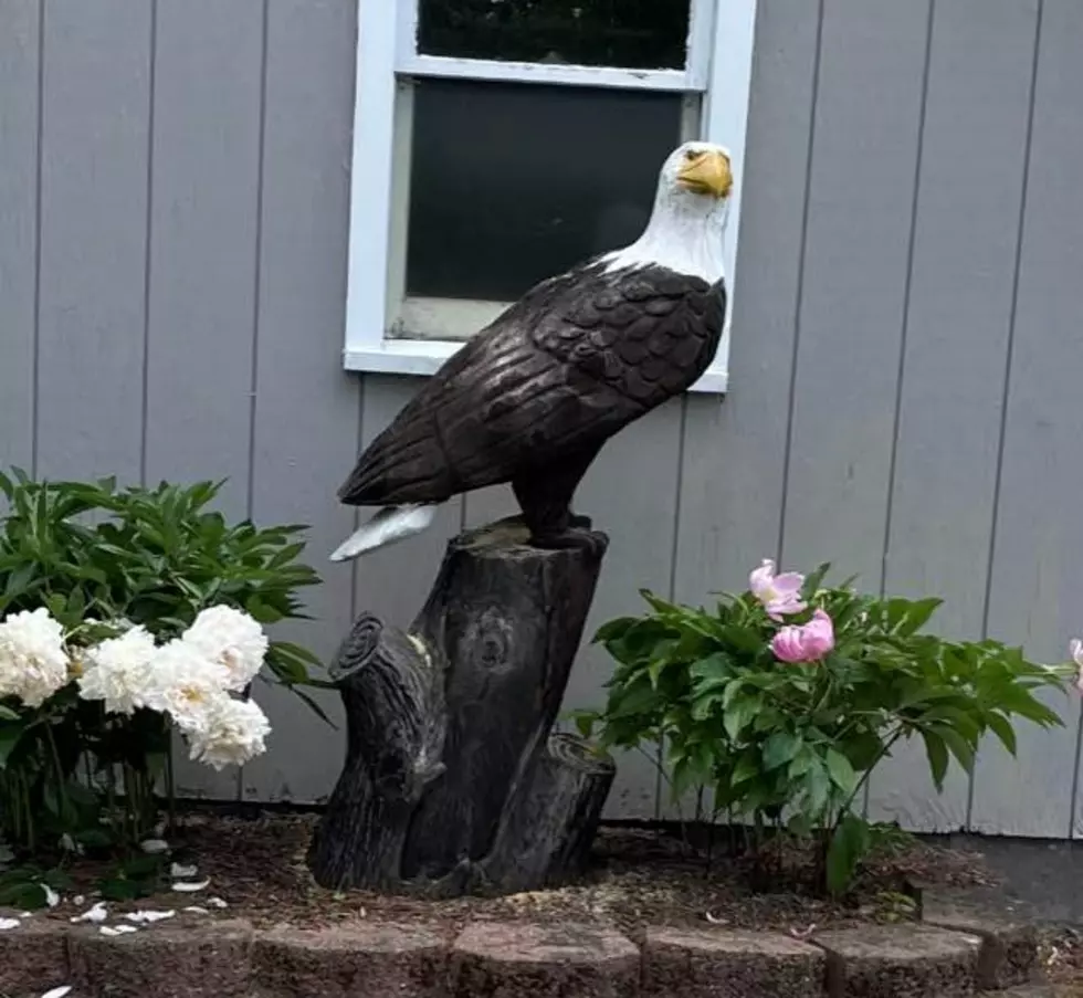 Substantial Reward For Return of One of a Kind Eagle Stolen in CNY