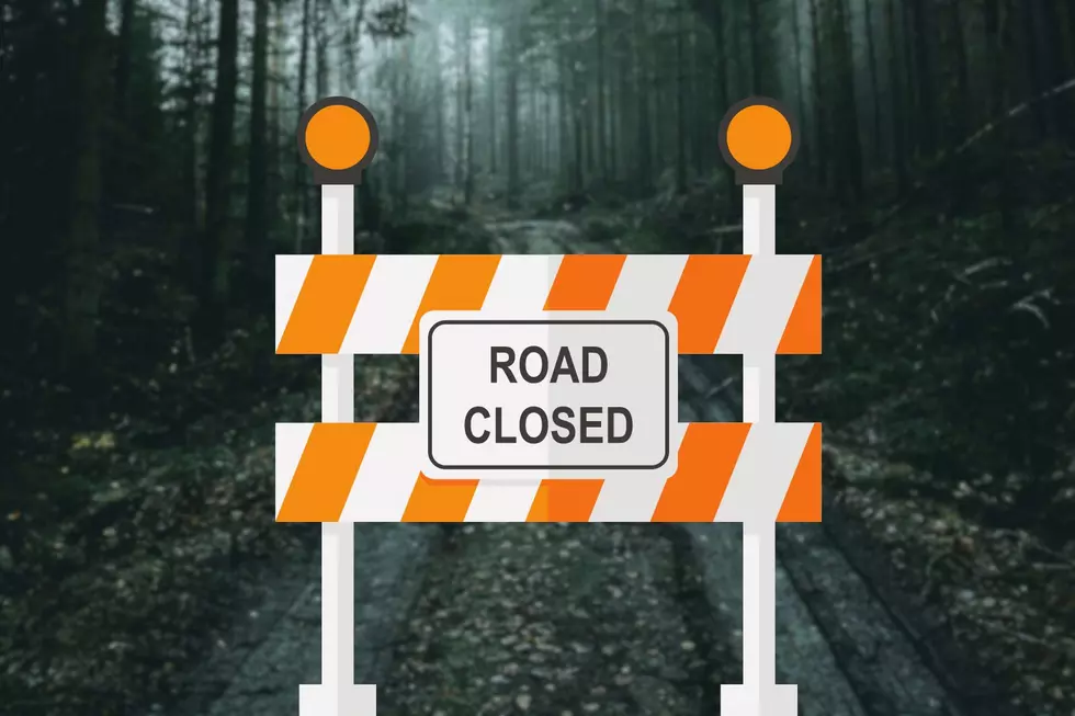 Spring Thaw Closes Several Trails Across New York State