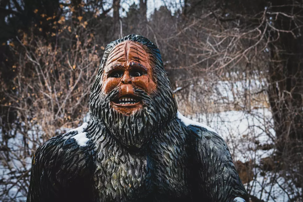 Controversial Bigfoot Exhibit Coming To New York State Fair