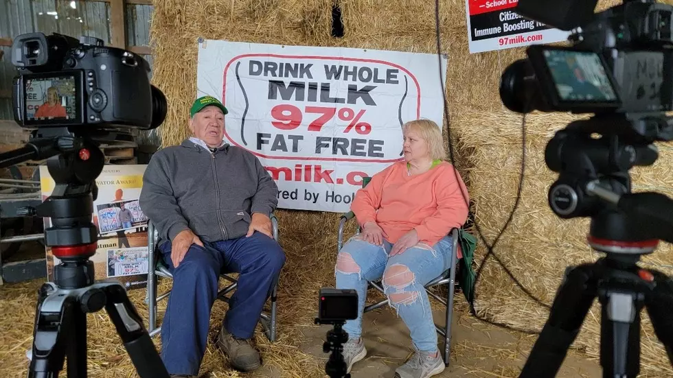 Documentary Shines Light On The Heart Of Dairy Farming
