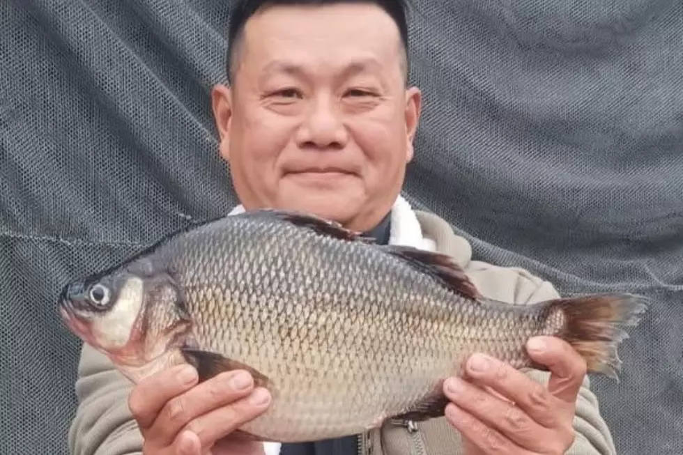 3-Pound White Perch Makes History in New York