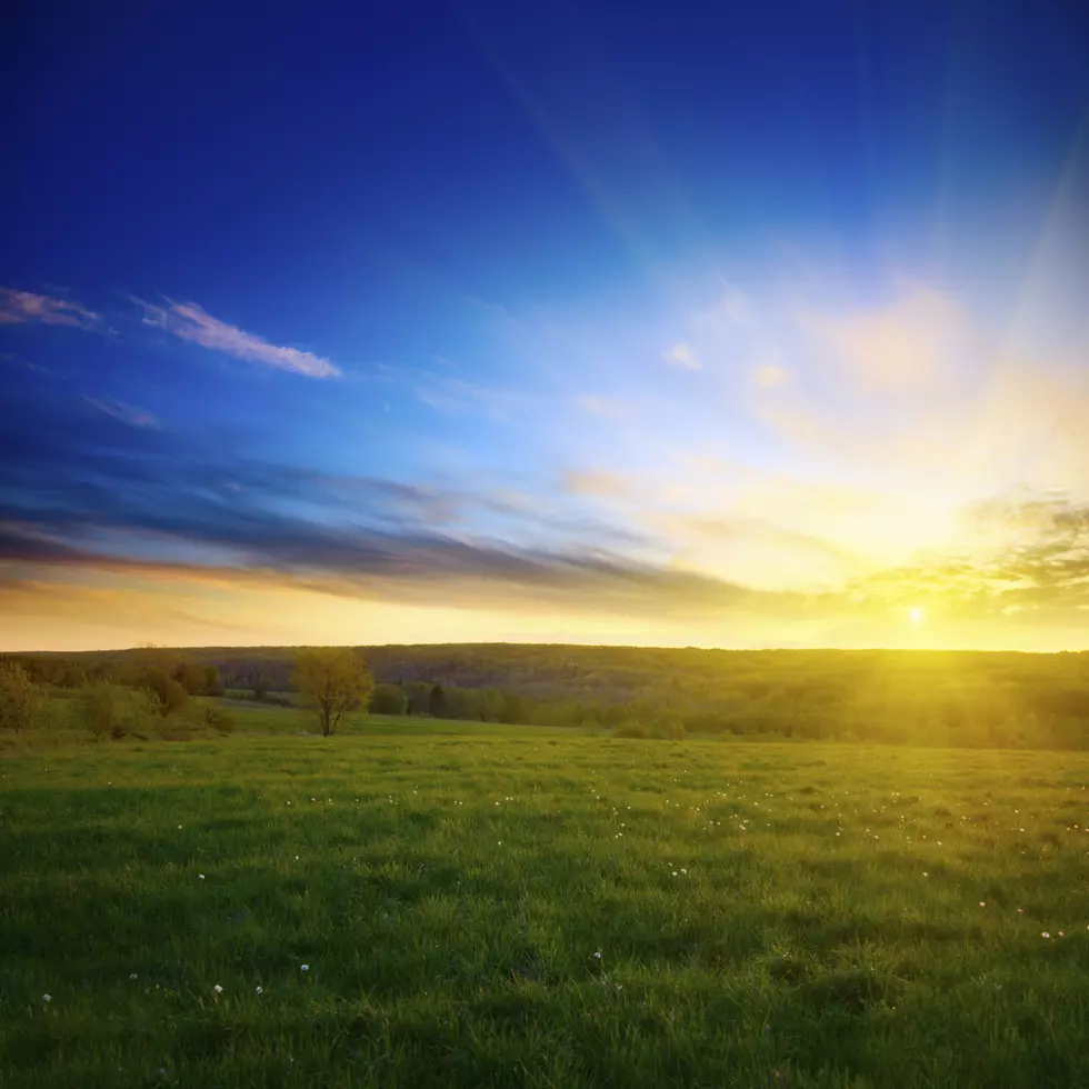 Spring is Coming – The Countdown Begins Now