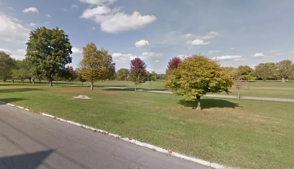 Landmarks Society Of Greater Utica To Restore Historic FT Proctor Park
