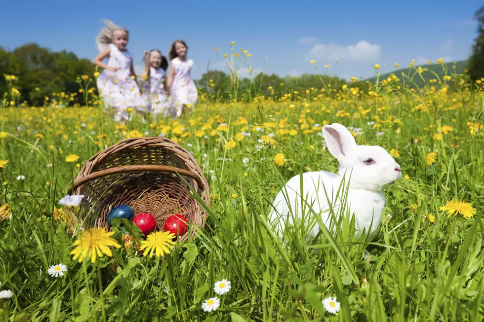 Top 3 Family Events In Utica For Easter 2014 Or ANY Year